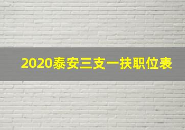 2020泰安三支一扶职位表