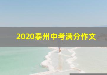 2020泰州中考满分作文