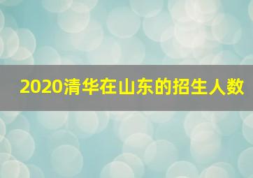 2020清华在山东的招生人数