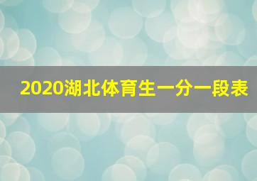 2020湖北体育生一分一段表