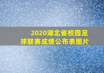 2020湖北省校园足球联赛成绩公布表图片