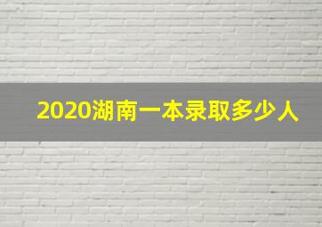 2020湖南一本录取多少人