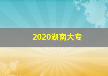 2020湖南大专