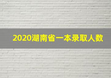 2020湖南省一本录取人数