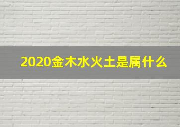 2020金木水火土是属什么