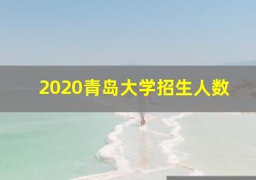 2020青岛大学招生人数