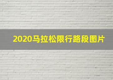 2020马拉松限行路段图片