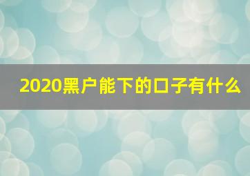 2020黑户能下的口子有什么