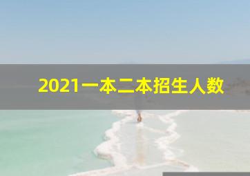 2021一本二本招生人数