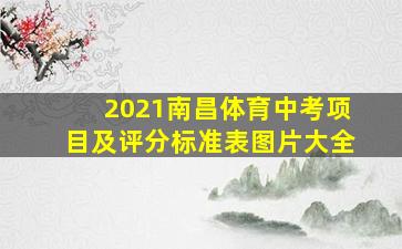 2021南昌体育中考项目及评分标准表图片大全