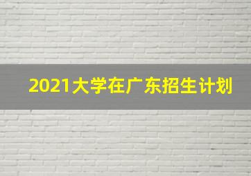 2021大学在广东招生计划