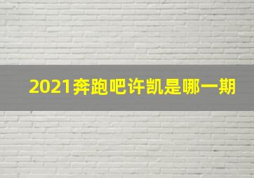 2021奔跑吧许凯是哪一期