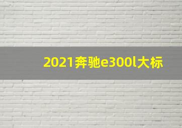 2021奔驰e300l大标