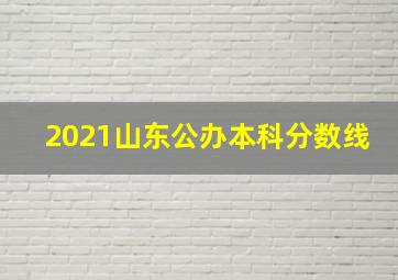 2021山东公办本科分数线