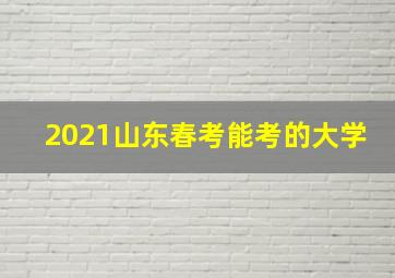 2021山东春考能考的大学