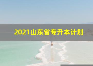 2021山东省专升本计划