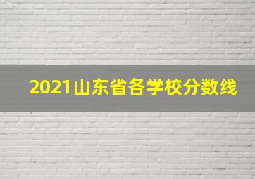 2021山东省各学校分数线