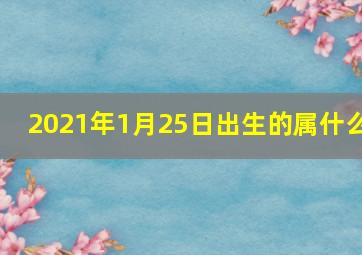 2021年1月25日出生的属什么