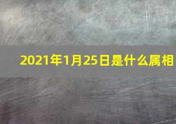 2021年1月25日是什么属相