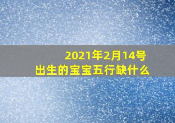 2021年2月14号出生的宝宝五行缺什么