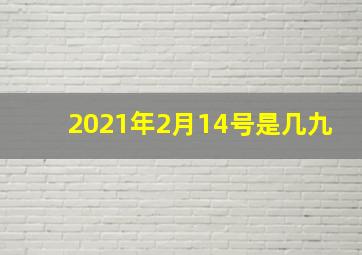 2021年2月14号是几九