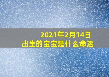 2021年2月14日出生的宝宝是什么命运