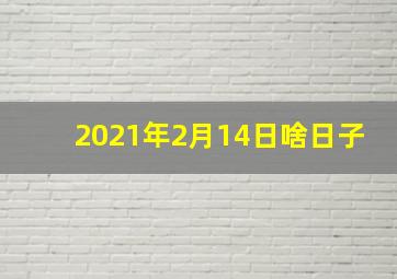 2021年2月14日啥日子