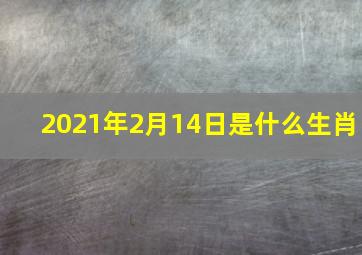 2021年2月14日是什么生肖