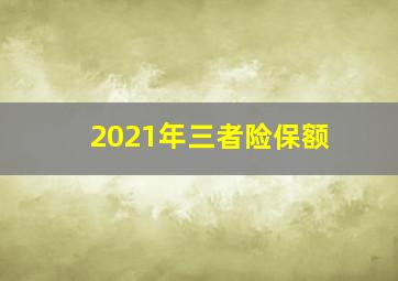 2021年三者险保额