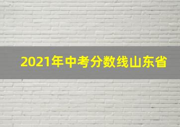 2021年中考分数线山东省