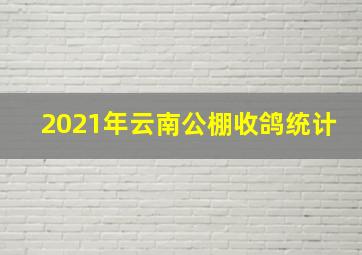 2021年云南公棚收鸽统计