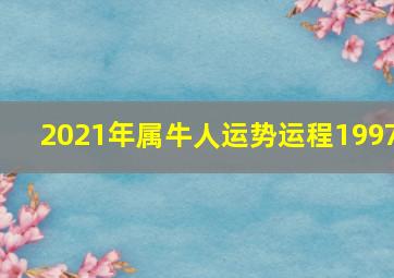 2021年属牛人运势运程1997