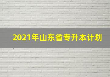 2021年山东省专升本计划