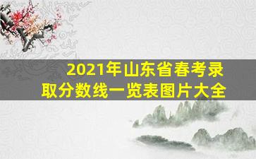 2021年山东省春考录取分数线一览表图片大全