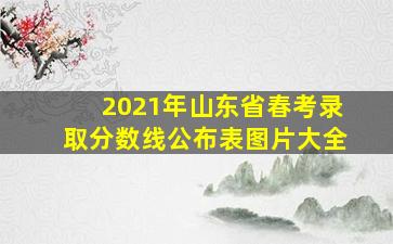 2021年山东省春考录取分数线公布表图片大全