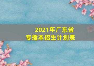 2021年广东省专插本招生计划表