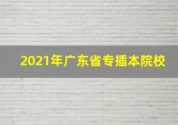 2021年广东省专插本院校