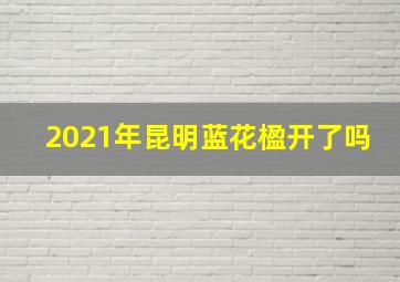 2021年昆明蓝花楹开了吗