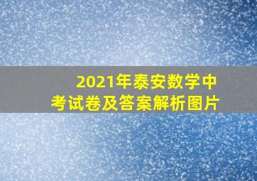 2021年泰安数学中考试卷及答案解析图片