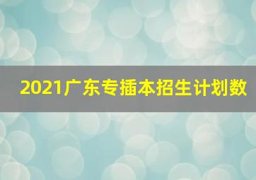 2021广东专插本招生计划数