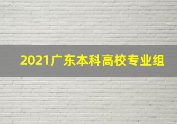 2021广东本科高校专业组