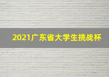 2021广东省大学生挑战杯