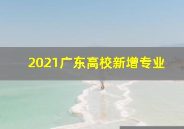 2021广东高校新增专业