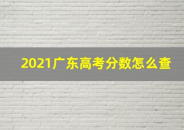 2021广东高考分数怎么查