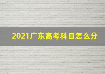 2021广东高考科目怎么分