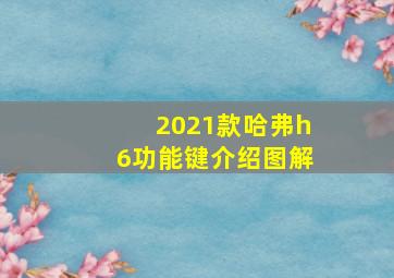 2021款哈弗h6功能键介绍图解