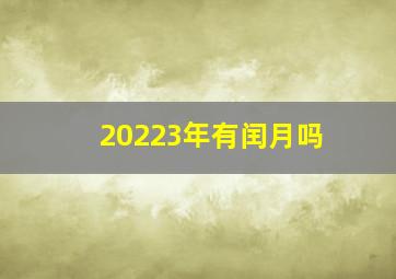 20223年有闰月吗