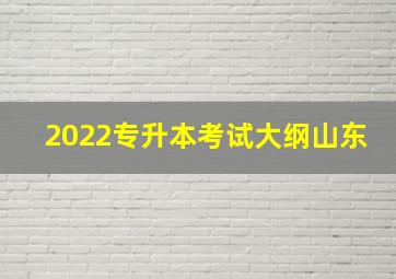 2022专升本考试大纲山东