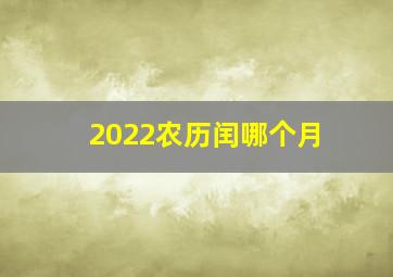 2022农历闰哪个月