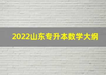 2022山东专升本数学大纲